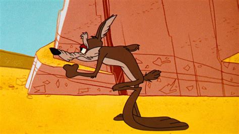 Wile E Coyote Wallpaper Kostenlos Wallpapers