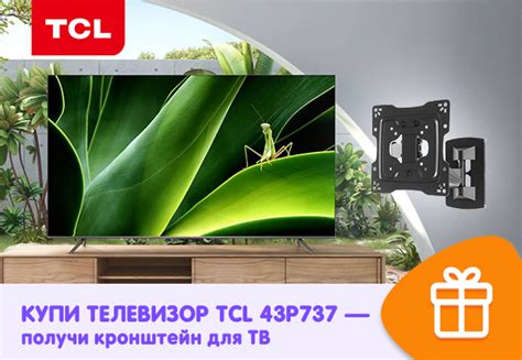 Купи телевизор TCL 43P737 — получи кронштейн для ТВ! | Акции DNS | IW020364