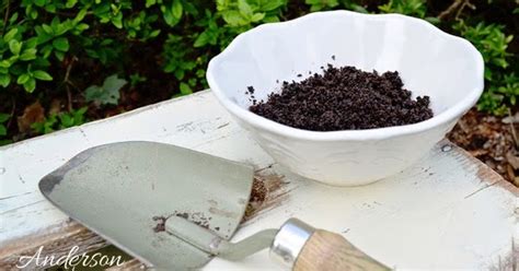 How To Use Coffee Grounds As Garden Fertilizer Anderson Grant