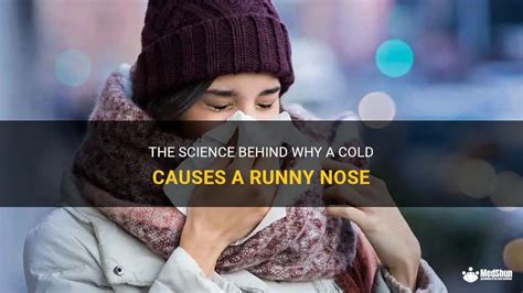 The Science Behind Why A Cold Causes A Runny Nose | MedShun