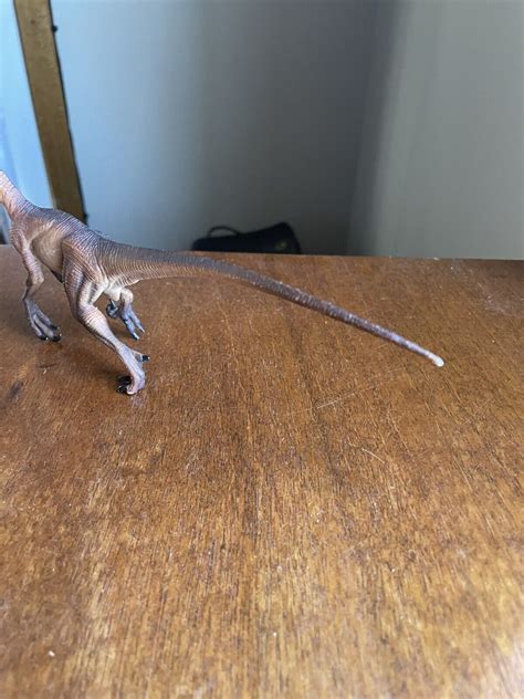 Safari Velociraptor Figure Prehistoric Dinosaur Model Realistic Ebay