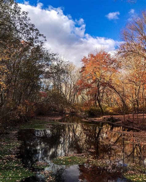 Caleb Smith State Park Smithtown Long Island Shot With A Flickr