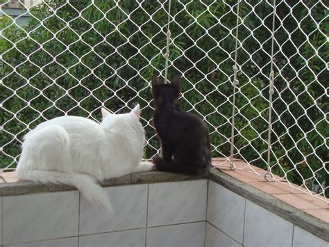 Tela de Proteção para Gatos Protect Cat