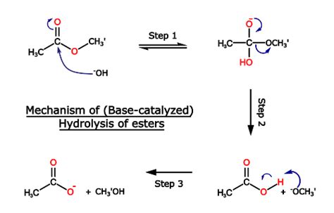 Hydrolysis Of Esters Mechanism And Conditions Psiberg