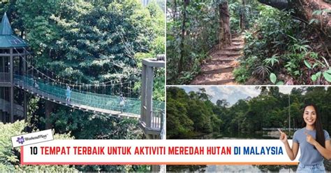 10 Tempat Terbaik Untuk Aktiviti Meredah Hutan Di Malaysia 2025