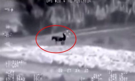 FACT OR FAKE 75 Did A Drone Really Capture ISIS Fighter Having Sex With A Donkey