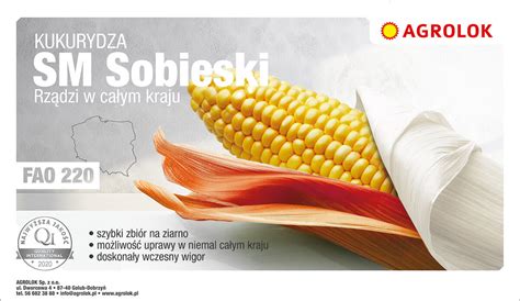 Kukurydza Sm Sobieski Tys Fao Agrolok Pl