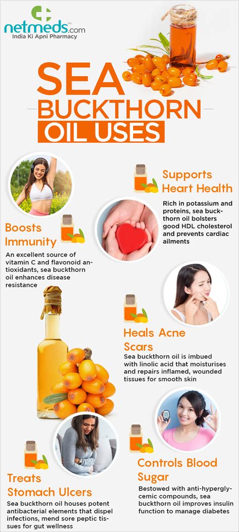 Amazing Benefits Of Sea Buckthorn Oil For Health And Beauty Infographic