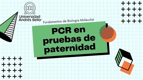 Pcr En Pruebas De Paternidad Youtube