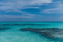 Coral reefs in the bahamas — Photo — Lightstock