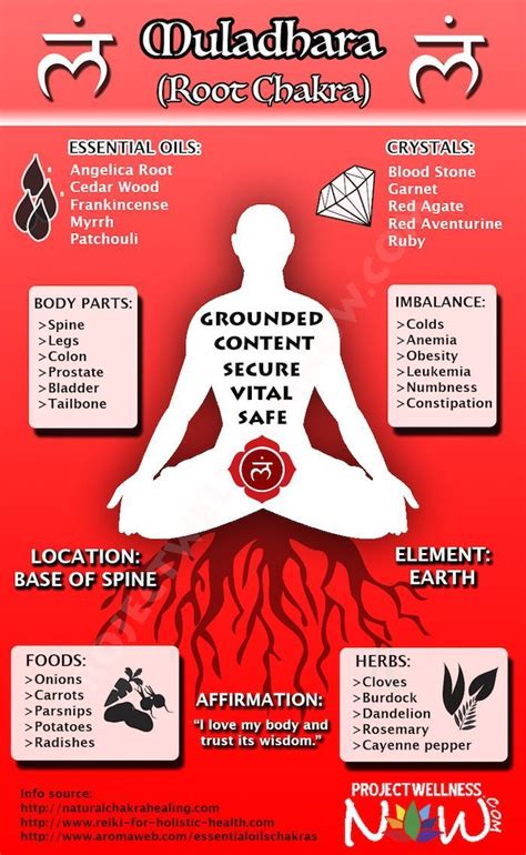 Root Chakra What You Need To Know About It Infographic What You