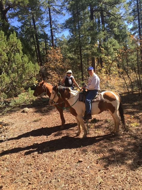 Pinetop Lakes Activity Center And Stables Pinetop Lakeside Atualizado