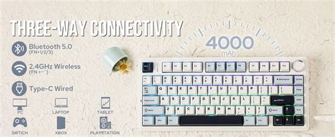 EPOMAKER X Aula F Gasket Mechanical Keyboard Hot Swap Gaming Keyboard With Five Layer