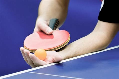 A Comprehensive Guide To Ping Pong Tables | PingPongUniverse.com