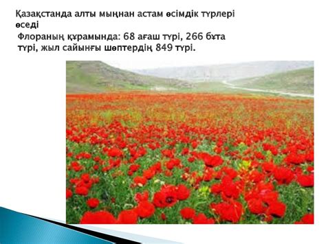 Қазақстанның табиғаты - презентация онлайн