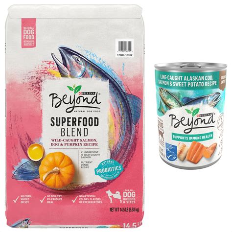 Purina Beyond Superfood Blend Salmon Egg And Pumpkin Recipe Natural Dry