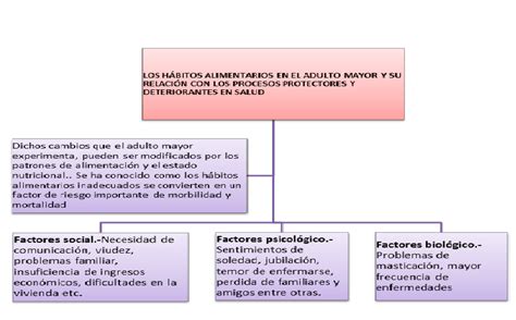 Fragilidad En El Adulto Mayor En El Ecuador DIAGRAMAS