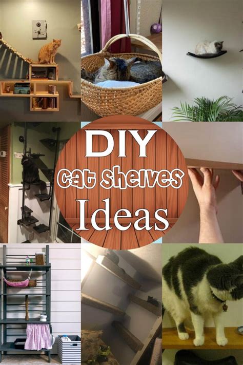 18 Diy Cat Shelves For Your Friend Diyncrafty