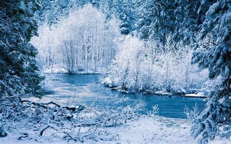 Fonds d écran Hiver paysage de nature blanc de neige arbres rivière