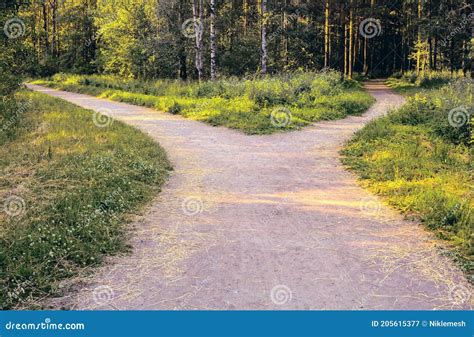 Divergencia De Caminos Una Gran Avenida Del Parque Se Divide En Dos