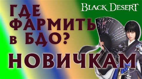 БДО - ГДЕ ФАРМИТЬ НОВИЧКАМ - СЕЗОН - ВАЛЕНСИЯ - BDO - Black Desert ...