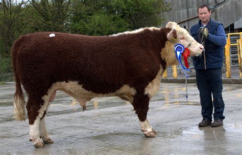 Pictures of Leo O'Brien (actor), Picture #73647 - Pictures Of Celebrities