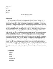 Lab Report Macromolecules Docx Abby Stack Troia Period