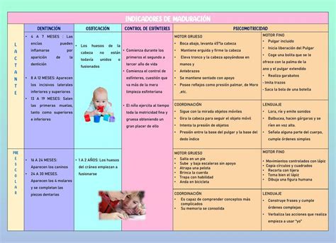 Indicadores De Maduraci N Nurse Ara Udocz