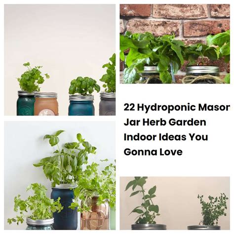 Hydroponic Mason Jar Herb Garden Indoor Ideas You Gonna Love