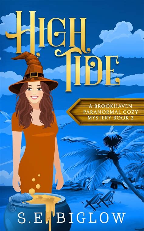 Amazon High Tide A Paranormal Amateur Sleuth Mystery