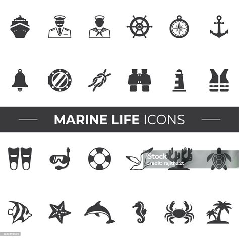 Marine Life Icon Set Stock Illustration Download Image Now Beach