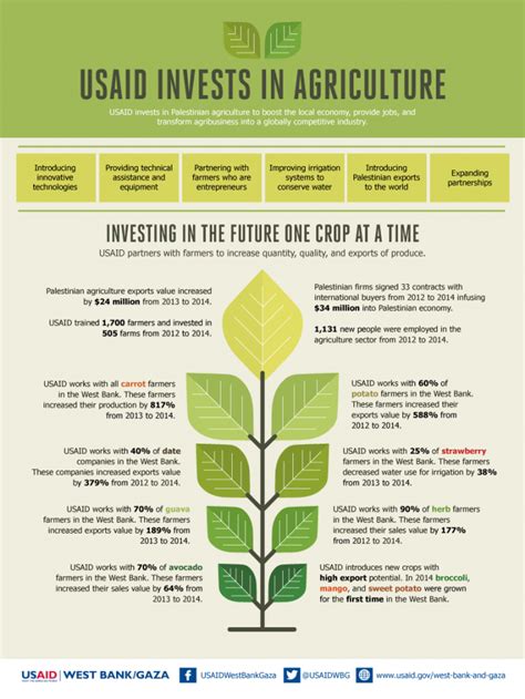 USAID Invests In Agriculture | Fact Sheet | West Bank and Gaza ...