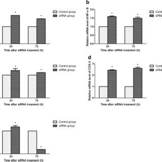 Effect Of Selk Silencing On MRNA Expressions At 24 And 72 H After SiRNA