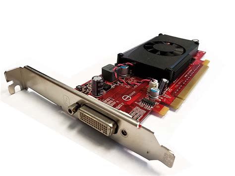 Karta Graficzna Nvidia Geforce 310 Wysoki Profil Sprzęt