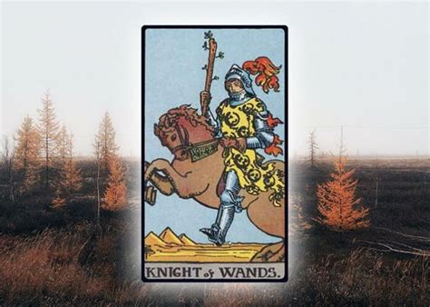 5 Tarot Cards That Represent Sagittarius The Zodiac Sign