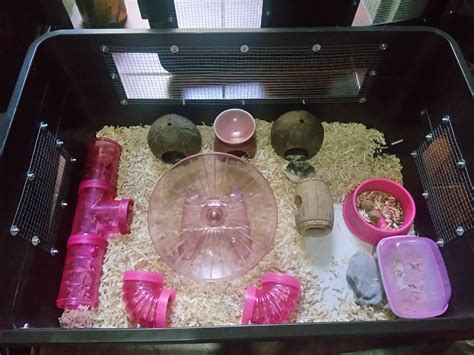 Hamster Bin Cage Ph Nyze Purple Pieces