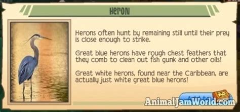 Balloosh Journey Book Guide And Cheats Animal Jam World