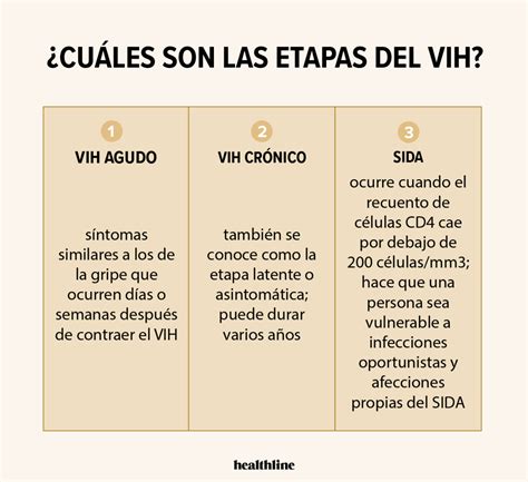 Departamento Pasta Discurso Informacion Sobre El Hiv Busto Actualizar