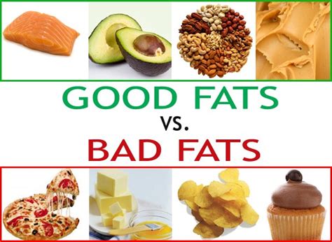 Health Articles Review: What are fats?