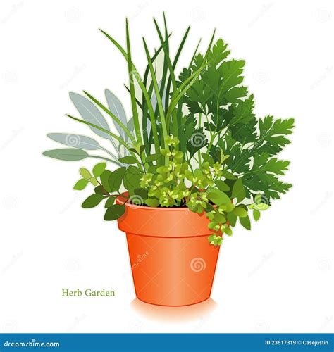 Herb Garden In Clay Flowerpot Stock Vector Illustration Of Flat