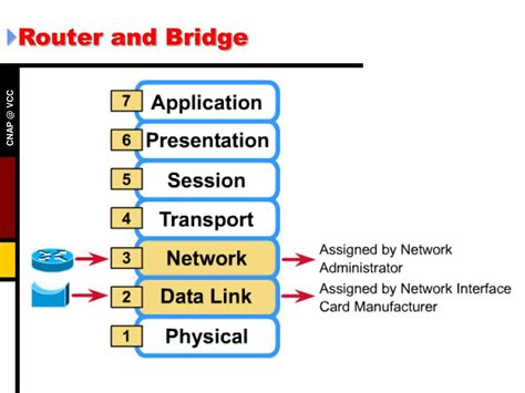 Ppt Semester 1 Chapter 11 Powerpoint Presentation Free Download Id