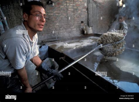 Coptic Zabaleeworker In The Manshiet Nasr Neighborhood Of Cairo Egypt