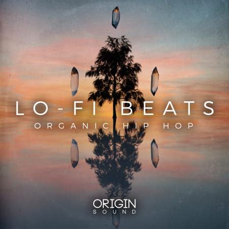 Lo-Fi Beats - Organic Hip Hop - Samples & Loops - Splice