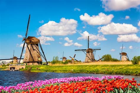 Premium Photo Famous Windmills In Kinderdijk Village With A Tulips