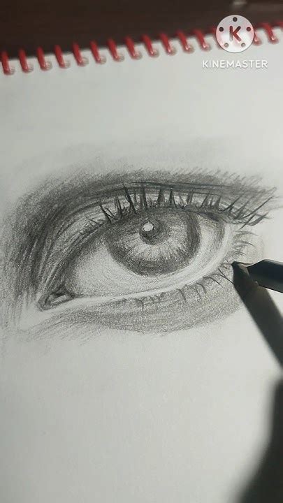 Рисую глаз# резницы#рисование#shorts - YouTube