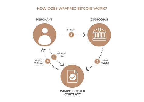 Wrapped Bitcoin Wbtc Price Prediction Will It Recover In