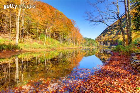 Autumn in the Catskills Region of New York 1384570460 게티이미지뱅크