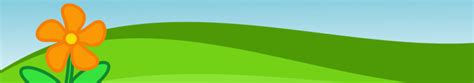 How To Choose Plants For Your Garden Kirkdale Nursery All Plants And