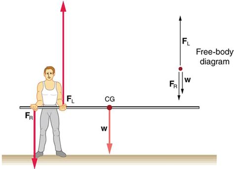 Applications of Statics, Including Problem-Solving Strategies · Physics