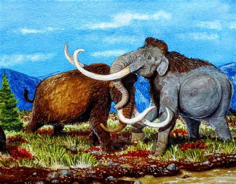 Columbian Mammoth Vs Wooly Mammoth